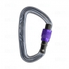 Карабин Black Diamond Nitron Screwgate