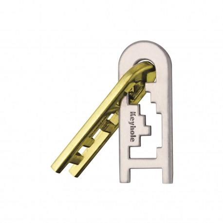KEYHOLE Hanayama Cast Metal Brain Teaser Puzzle (Level 4)