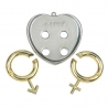 AMOUR Hanayama Cast Metal Brain Teaser Puzzle (Level 5)